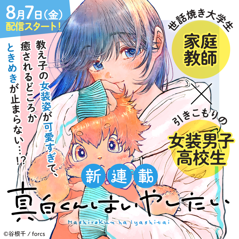 Lemoron_comic's tweet photo. ＼\ 🍋 新連載 🍋/／

『真白くんはいやしたい』
谷根千  先生(@yane_sn00)

8月7日(金)配信スタート🩷

#商業BL #創作BL https://t.co/kCo2f4kN6Z