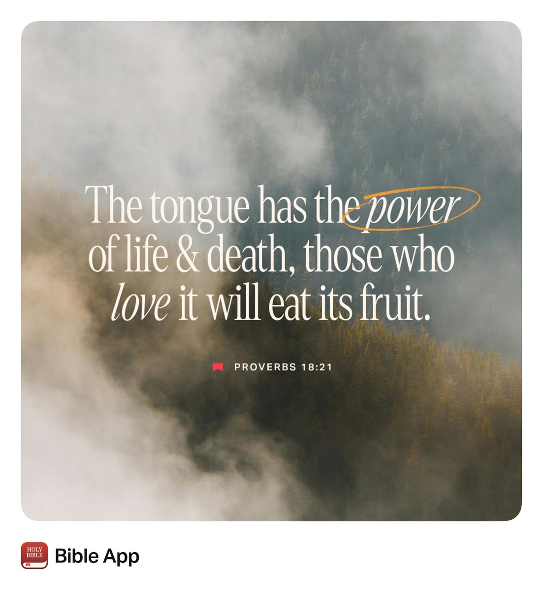 CraigPetrus's tweet photo. Amen, amen! When you speak, speak with kindness and goodness. Let your words heal, and not hurt.
#FaithJourney #PrayerLife #Blessed #Believe #HealingWords #Humility #SpeakGoodness #BeKind #TeamGod #TeamJesus #TeamPetrus #Amen https://t.co/Qgzk2o6XHR