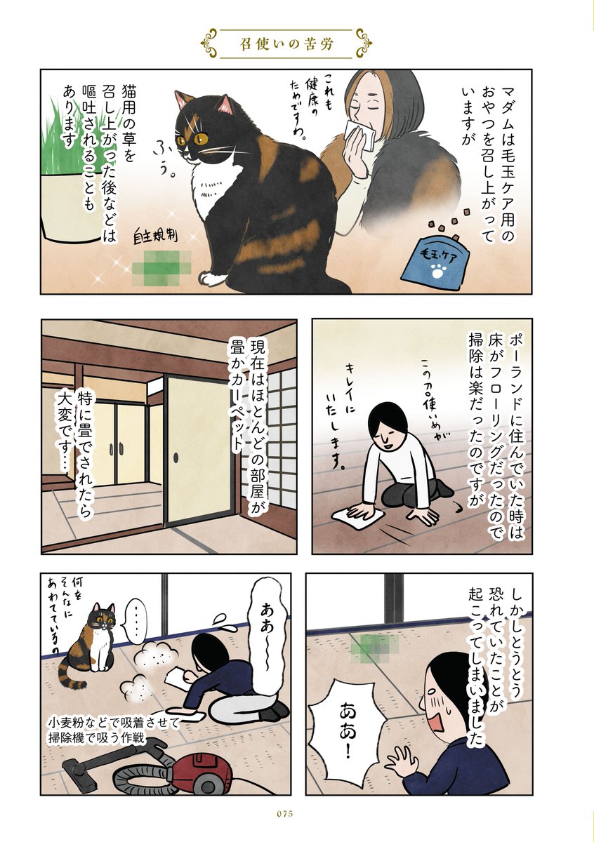 kansabi_kk's tweet photo. マダムの書籍発売記念＆はじめましての方にも楽しんでいただけるよう、マダムのお話を再掲いたします😊　
本日は「召使いの苦労」です！ 1/2
#猫のいる暮らし https://t.co/olwJLfbHKq