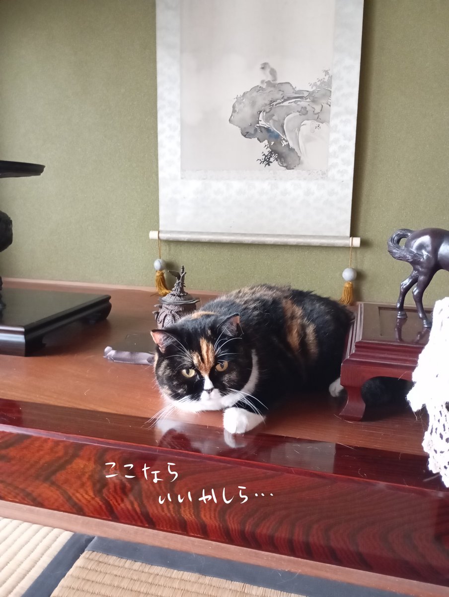 kansabi_kk's tweet photo. 2/2 https://t.co/oHDHCpeMyl