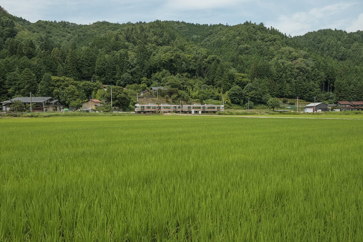 livetakayama's tweet photo. 気づいたら7月ももう終わりではないですか…
結構忙しかったです… https://t.co/DOR9DfkSWU