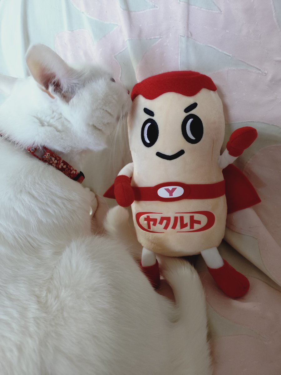 DIRsukePetit's tweet photo. ヤクルトマンのぬいぐるみ当たった(*´ω`*) https://t.co/h52YkSUMGG