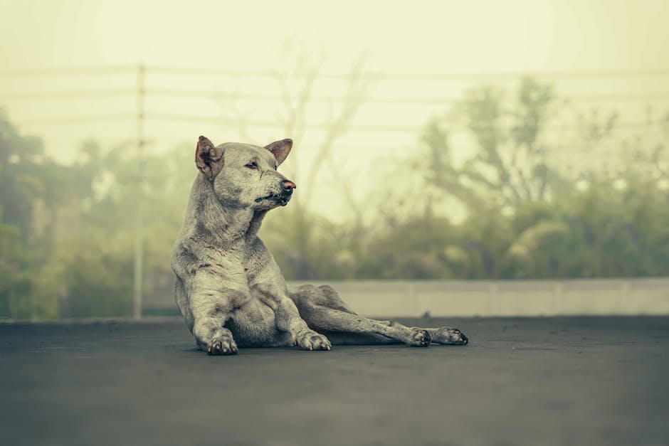 AponteDlam39955's tweet photo. شكرا لجعل المحتوى لدينا يستحق تبادل هو بهذا العناء! هذا المقال مورد رائع لأي شخص مهتم الموضوع. billi rumsey🥴 https://t.co/FMELKEw2dH