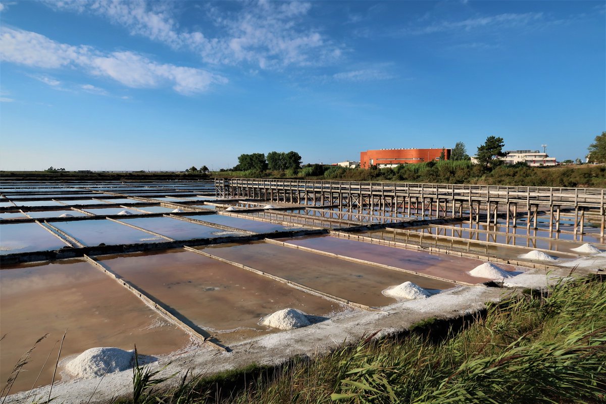 isabelpinheiro's tweet photo. #10MinutesFromHome  #saltpans   #Aveiro  #Portugal https://t.co/YstpZdE6mB