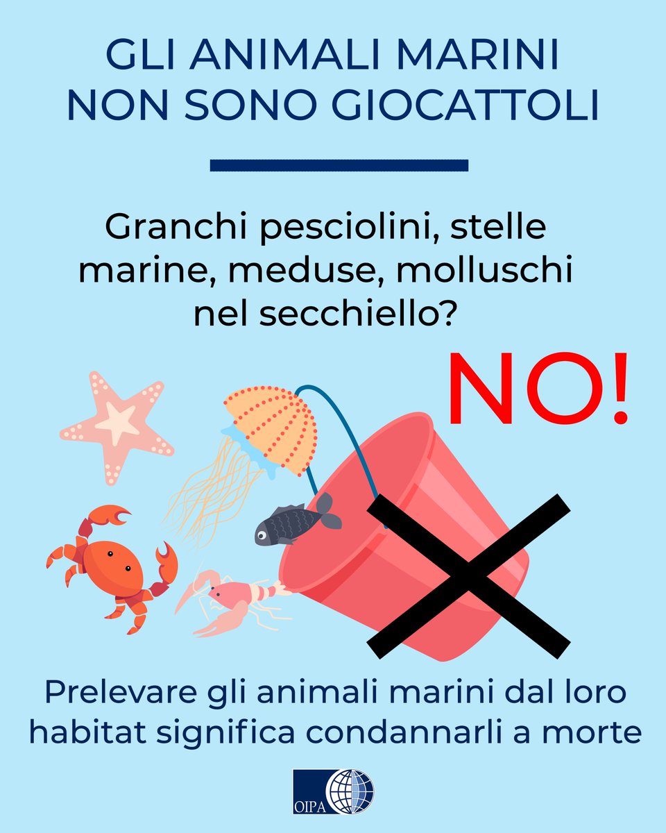 OIPAItalia's tweet photo. 🦀 “Giocattolo o essere vivente? Trova le differenze”: l’OIPA coinvolge i Comuni costieri nella campagna a tutela degli animali marini. Diffondi la campagna, scarica le infografiche 🐟 https://t.co/CDaarbvzis
#oipaitalia #granchi #pesciolini #stellemarine #mare #spiaggia https://t.co/YXtBLFafAa