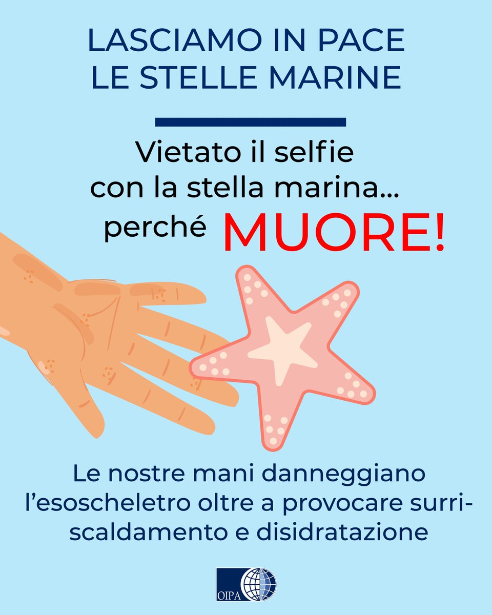 OIPAItalia's tweet photo. 🦀 “Giocattolo o essere vivente? Trova le differenze”: l’OIPA coinvolge i Comuni costieri nella campagna a tutela degli animali marini. Diffondi la campagna, scarica le infografiche 🐟 https://t.co/CDaarbvzis
#oipaitalia #granchi #pesciolini #stellemarine #mare #spiaggia https://t.co/YXtBLFafAa