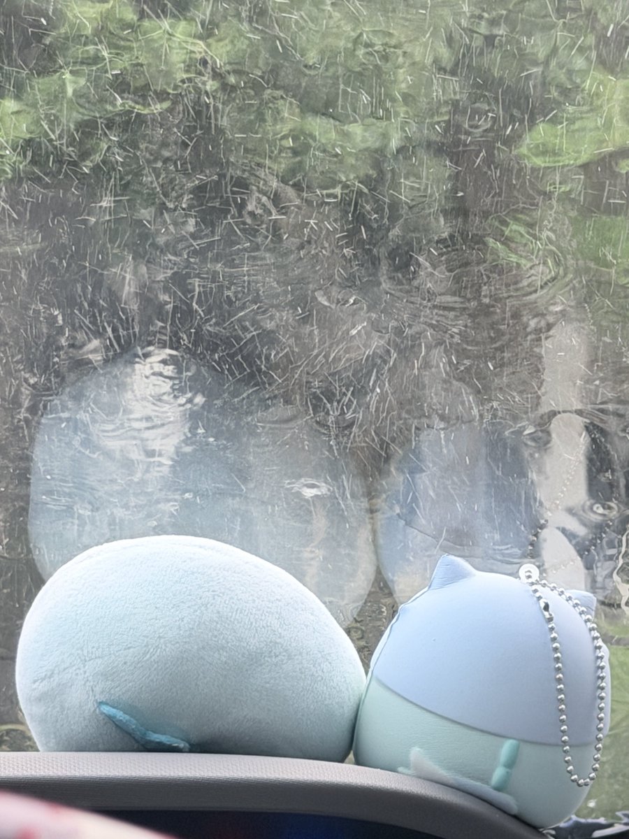 ouka_night's tweet photo. 雨がすごくて車から出られない……w https://t.co/ISGj30Lq23