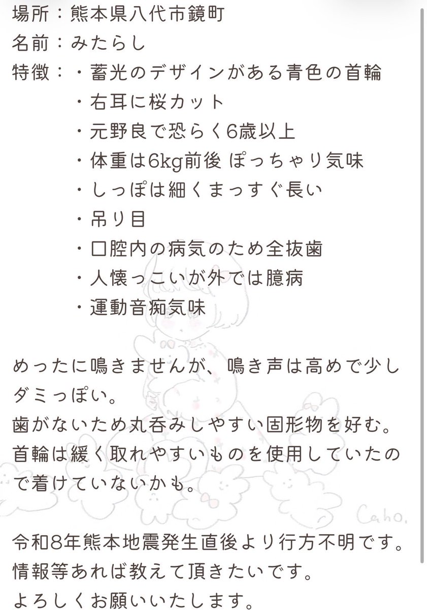 moa_nnjl's tweet photo. 元野良猫で行動範囲は家の中と庭でしたが、地震直前にどこにいたのかが把握できておらず、室内は家財転倒等で奥までは捜索できていません。外に出ていれば幸いと考えております。
生きて会いたいです、お願いします。 https://t.co/IHQwFM5SQz