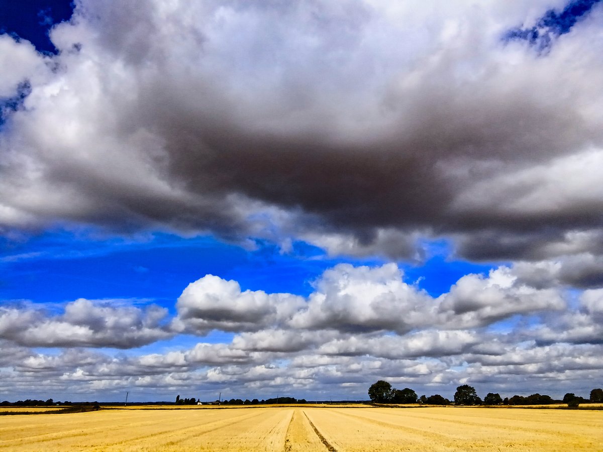 chris_alpacas's tweet photo. A much fresher morning here in the Fens. Some clouds and a lovely breeze with the #viewfrommywindow. Happy Thursday xxx #GoodMorning #Clouds @WeatherAisling @ChrisPage90 @CloudAppSoc https://t.co/xrssqGNNej