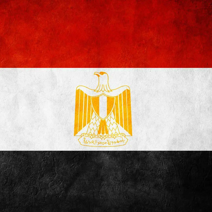 Samira_Elsherif's tweet photo. العمل ع زج بمصر ضمن صراع الهاوية حتي تفقد المنطقة آخر صوت للعقل والرزانه في ظل هذه الاحداث السريعة الجنونية 
حفظ الله وشعبها وقيادتها 🦅🇪🇬
#مصر 
#Egypt https://t.co/Kn84d3laXo