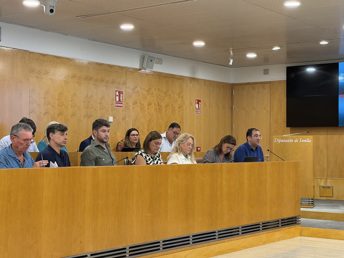 PPDipuSevilla's tweet photo. Hoy celebramos el pleno ordinario del mes de julio en la Diputación Provincial de Sevilla.

Queremos que los sevillanos tengan los mejores servicios en nuestra provincia y por ello seguimos trabajando. https://t.co/X6Rtvo5Nbb