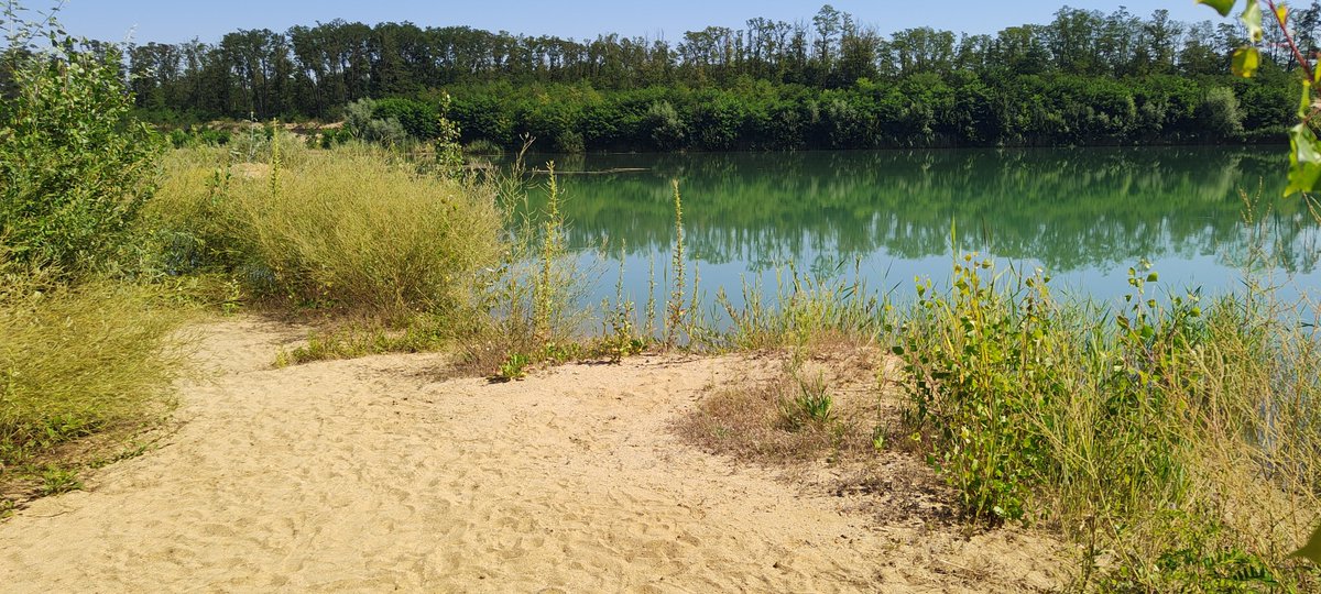 eFKaKaCZ's tweet photo. @pavla20491371 Dnes to samé 🏖️ https://t.co/tCww4kiBzd