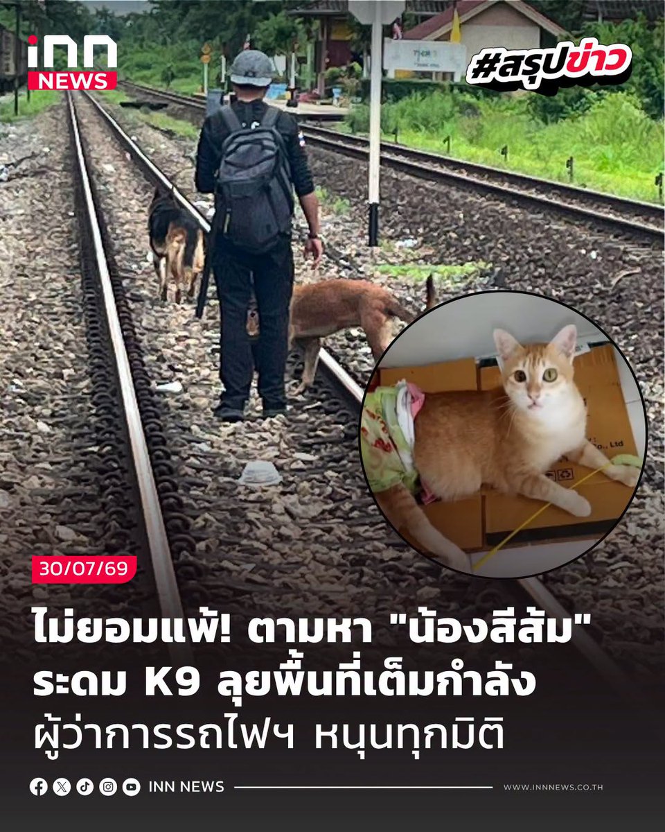 INNNEWS's tweet photo. ยังไม่ยอมแพ้! เดินหน้าตามหา "น้องสีส้ม" ครบ 1 เดือน ผู้ว่าการรถไฟฯ หนุนเต็มที่ ส่ง K9 ลุยค้นหาต่อ
******
หลัง #น้องสีส้ม แมวส้มพิการของผู้โดยสาร สูญหายระหว่างเดินทางบนรถไฟขบวนที่ 170 ยะลา–กรุงเทพฯ ตั้งแต่วันที่ 28 มิถุนายน 2569 จนกลายเป็นเรื่องที่หลายคนติดตามและร่วมส่งกำลังใจให้เจ้าของกับน้อง ล่าสุด แม้เวลาจะผ่านไปครบ 1 เดือน แต่ภารกิจค้นหายังคงเดินหน้าต่อเนื่อง
.
เมื่อวันที่ 29 กรกฎาคม 2569 ที่ผ่านมา เพจ บ้านหลังสุดท้ายของน้องจรจัด เปิดเผยความคืบหน้าว่า ได้เข้าหารือกับผู้บริหารการรถไฟแห่งประเทศไทย เพื่อขอให้ตรวจสอบกรณีน้องส้มส้มสูญหาย รวมถึงกรณีที่พบว่ากระเป๋าใส่แมวถูกเปิดผิดปกติ พร้อมวางแนวทางความร่วมมือระหว่างการรถไฟฯ และภาคประชาชนในการติดตามค้นหาอย่างเข้มข้น
.
ด้านผู้ว่าการรถไฟแห่งประเทศไทย ยืนยันพร้อมสนับสนุนภารกิจค้นหาอย่างเต็มกำลัง โดยการรถไฟฯ จะอำนวยความสะดวกทั้งการลงพื้นที่ค้นหา การประสานตรวจสอบพนักงานที่เกี่ยวข้อง รวมถึงประชาสัมพันธ์การติดตามผ่านสื่อต่าง ๆ ของการรถไฟในทุกสถานีที่ขบวนรถสายดังกล่าววิ่งผ่าน
.
ขณะเดียวกัน ทีมค้นหายังคงลงพื้นที่อย่างต่อเนื่อง ล่าสุด หน่วยสุนัขค้นหาและกู้ภัย K-9 แก่นนคร นำสุนัข K9 "น้องจำปี"และ "พี่ซีต้า" พร้อมทีมปฏิบัติการ ลงสำรวจแนวเส้นทางรถไฟ ซึ่งเต็มไปด้วยป่ารกและพื้นที่เข้าถึงยาก เพื่อค้นหาเบาะแสของน้องสีส้ม
.
ทั้งนี้ ยังระบุอีกว่า หากประชาชนที่อาศัยอยู่บริเวณแนวเส้นทางรถไฟ หรือผู้ที่พบเห็นแมวส้มพิการที่มีลักษณะคล้ายน้องสีส้ม สามารถแจ้งเบาะแสให้ทีมค้นหาได้ทันที เพราะทุกข้อมูลอาจเป็นความหวังสำคัญที่จะพาน้องกลับบ้านอีกครั้ง
.
#ตามหาน้องแมว
#แมวส้มหาย
#แมวส้ม
#ไอเอ็นเอ็นสรุปข่าว
#innสรุปข่าว
#INNNEWS