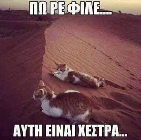 maDDim⚙️ tweet media