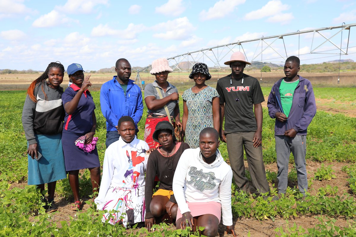 UNDPZimbabwe's tweet photo. Young people are key to the future of agriculture. 🌱 Their participation in irrigation schemes drives innovation, boosts productivity, creates jobs, and strengthens climate resilience. Investing in youth today means securing sustainable food systems and thriving rural communities for tomorrow. @theGCF  #ClimateAction #FoodSecurity #Irrigation