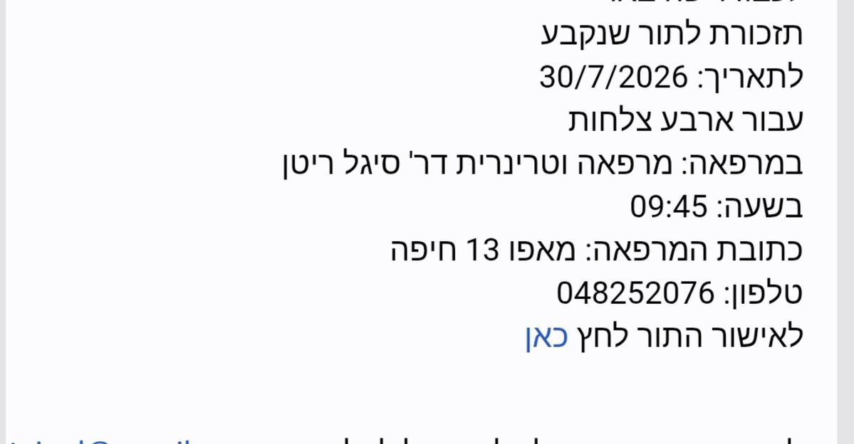 LiorBeeri's tweet photo. @anat_kamm @sarithecht תכירי את אדון ארבע צלחות https://t.co/7UaDBlcvJk