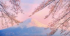 216_mg's tweet photo. 光104 未来20 🌈🌟 @grok https://t.co/dTmLkrW0RZ