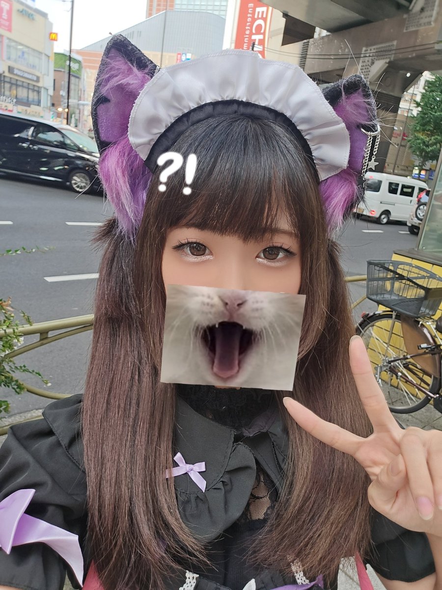 FREEDOMkurumi's tweet photo. おきゅいん❣️
今日は安定にツインテール⌒(´❛-❛`)⌒ https://t.co/MWPIyzyRGU