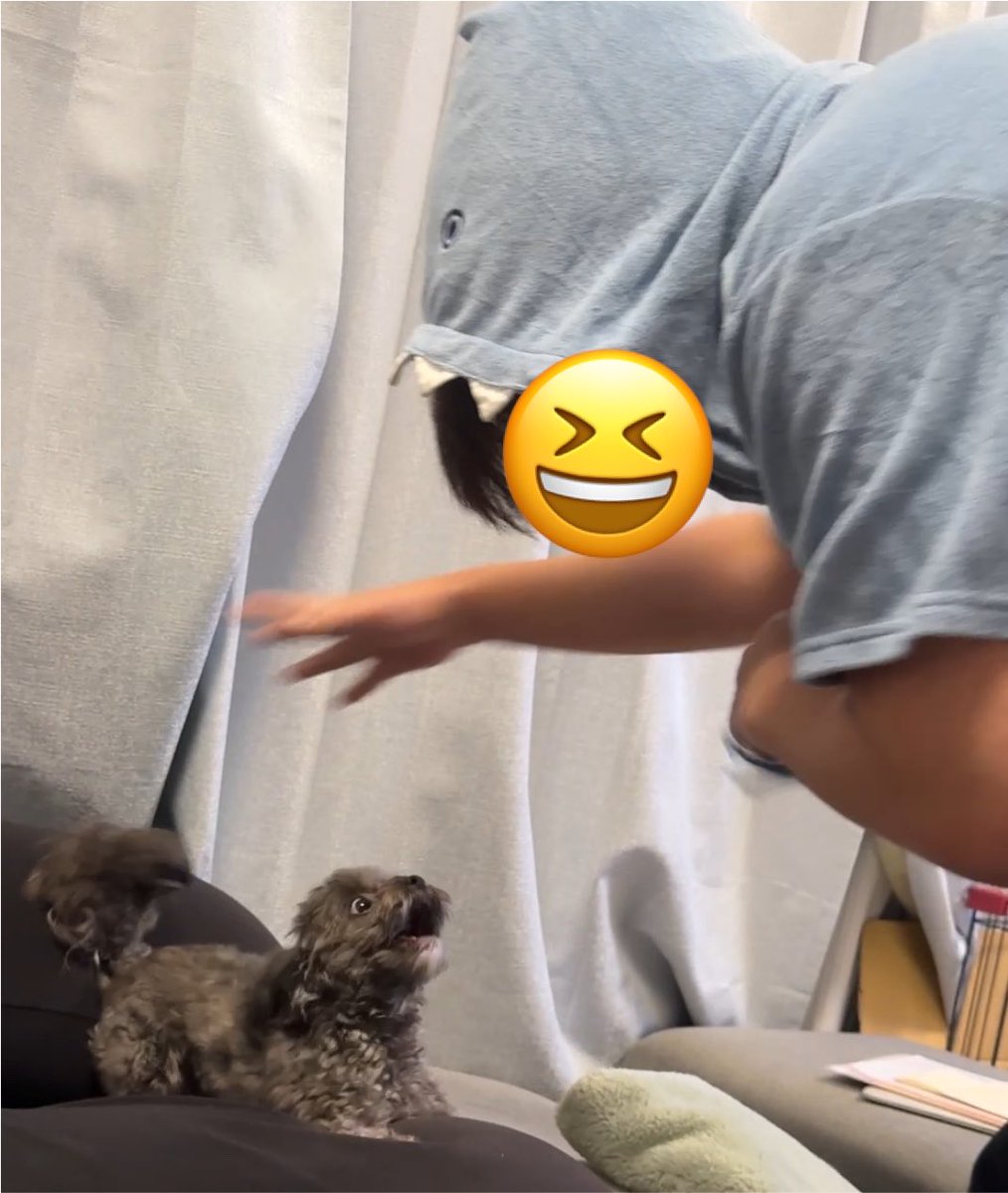 xmarumarux0801's tweet photo. パパのサメパジャマと喧嘩中 https://t.co/jbKvmjvSon