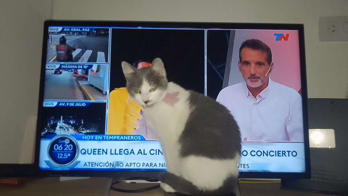 Andrea Gomez tweet media