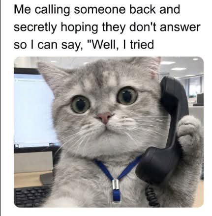 WholesomeMeme's tweet photo. https://t.co/iAOS2h4ca6