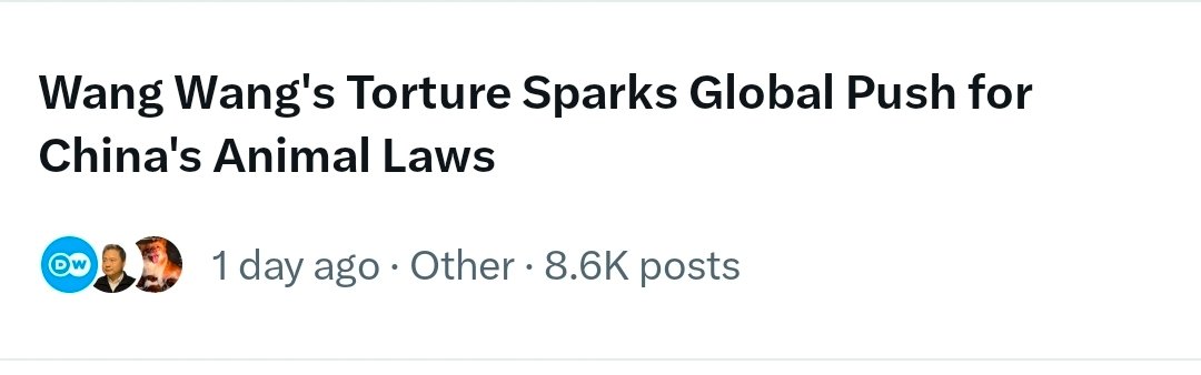 MaleficentLady's tweet photo. I am GLAD that the headline on the trending page regarding Wang Wang used the word "TORTURE".

I say that because I've noticed that several news articles and posts about Wang Wang on social media by news accounts have used words such "abuse" and "beat up" that downplay the true severity of torture and sadism that the five boys inflicted on Wang Wang.

This makes people think "oh.... it was bad but they just '"killed a dog"' at the and of the day".

The truth is that the five boys inflicted an over hour-long, sustained campaign of various methods of torture, mutilation, and cruelty on Wang Wang and her puppies. It was the torture the likes of which I'd only read and heard about in serial killer documentaries, court testimonies and medieval torture methods.

Just *some* of what those boys did to Wang Wang and her puppies.
-Clubbed her with long planks of wood embedded with long, sharpened nails with all their strength, over and over
-Garotted her with sharp chicken wire to drag her around and when the handle broke, the wire around her neck remained which continued to choke and suffocate her for the rest of the entire ordeal
-They SHATTERED her legs by pummelling her with the heavy planks of wood they had
-Whipped her again and again.
-They stuck an industrial adhesive ignition pad on her fur when she thought it was over and was sitting still and unable to move, poured gasoline on her and set her on fire. She became entirely engulfed in flame and ran around frantically screaming and yowling to escape the fire. 

They poured MORE gasoline when she was already completely covered in flame to make the fire bigger and cover her body more. She was immolated for TWENTY MINUTES 
-They killed her puppies in front of her by impaling their eyes and skulls with metal poles and bludgeoned them to death
-They gouuged her eyes out with their bare hands
-They sliced her belly open with a knife until her intestines fell out
-They finally decapitated her.

All five of them are younger than 14 years old. The youngest is 11 supposedly. They all laughed gleefully. The ENTIRE time.

Wang Wang suffered EXTREME excruciating pain. Her last moments on Earth were unimaginable anguish and agony. The boys had brought cement and a spade along, perhaps intending bury Wang Wang and her pups in the sewer den, ALIVE.

They uploaded the video online themselves.

I understand that journalists and news outlets don't want to traumatise readers and therefore use softer language to describe such horrific incidents.

But this means that the perpetrators won't be adequately punished because people will be ignorant about the true nature of their crimes and downplay the terrifying severity and won't push for just punishment!

The level of sadistic psychopathy they display at such a young age (all under the age of 14 supposedly) should scare EVERYONE. 

I am scared here in Australia. Are their own villagers not terrified of these tyrannical sadistic boys and if they'd be the next target??

We need justice for Wang Wang and to sequester these boys away for the rest of society's safety. 

The five boys are SERIAL animal torturers (proof in next comment).

Please. It is important that those who are just now learning about Wang Wang know the TRUTH of how much she suffered, because the Chinese government tried to suppress any word of the case leaking out for well over a month (the incident happened on the 28th of June 2026) and most people around the world are just coming to learn about the grotesque crime now, over than a month later.

We need to use this horrifying crime against Wang Wang and her puppies as a catalyst to force China to enshrine animal protection laws, anti-cruelty to animal laws and make it a CRIMINAL offence.

China literally has the DEATH PENALTY for people who harm pandas! 

It is an absolute cop-out and excuse to say that the Chinese government cannot introduce legislation protection, welfare and anti-cruelty to animals for ALL the animals in their borders, especially stray dogs and cats, which are the biggest victims of China's thriving animal torture-for-profit filming industry. Its scale is incomprehensible.

Why only the giant panda, red panda and golden snub nosed monkey, China?

Why not protect all of them? 

#justiceforwangwang   #wangwang  #wantwant #旺旺  #Jieyang  #BoycottJieyang  #Guangdong #boycottguangdong #boycottchina #truthaboutwangwang