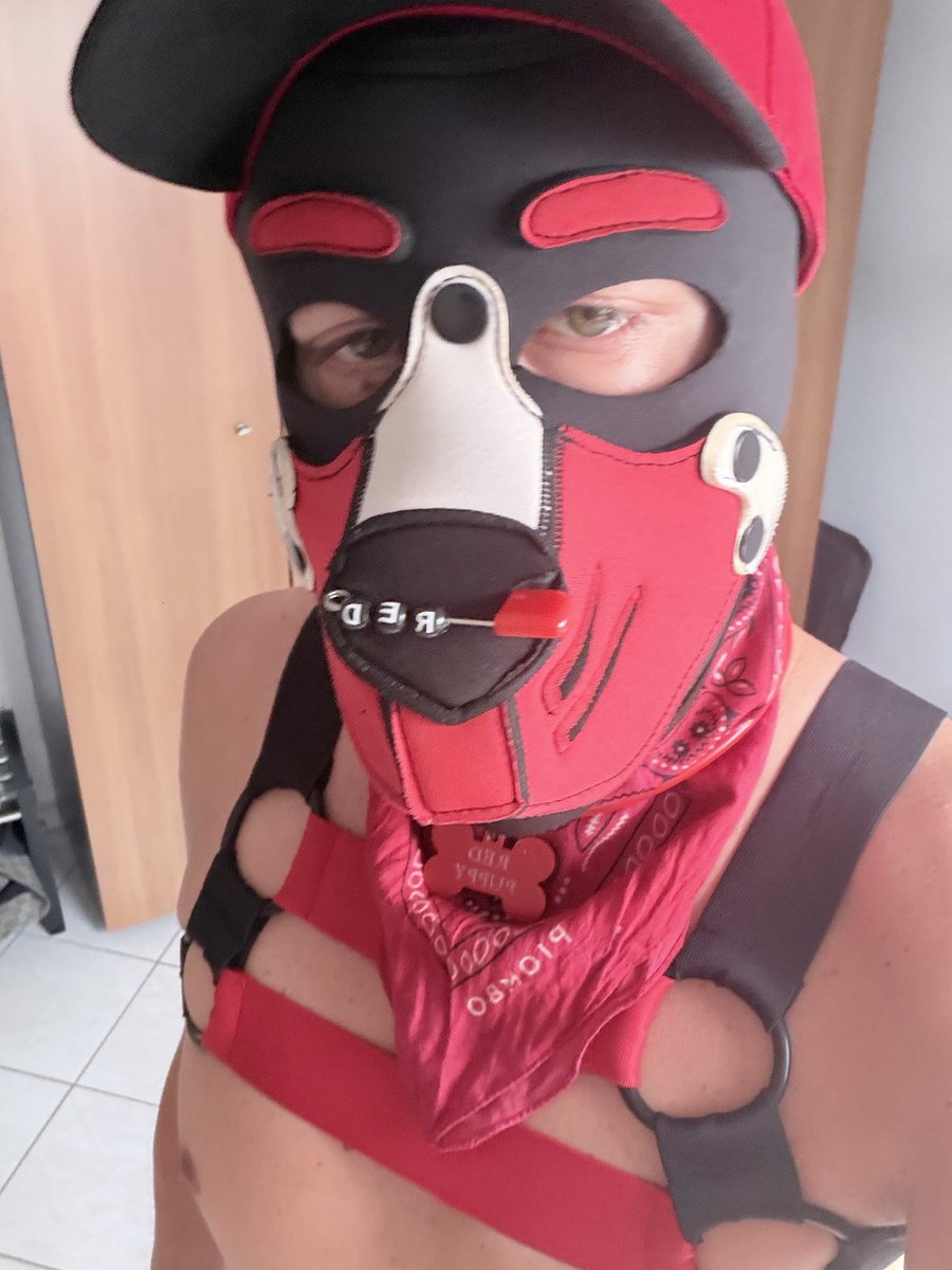 RED_PUPPY1's tweet photo. https://t.co/mgM4Wxqvr5