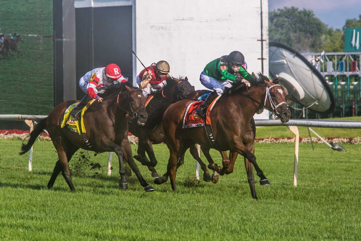 Equibase's tweet photo. #ThrowbackThursday to August 15, 2015... when THE PIZZA MAN became the first and only Illinios-bred to win the G1 Arlington Million at Arlington Park!🍕🏇

The Pizza Man, a Midwest Thoroughbreds' homebred by English Channel, won the 2015 Arlington Million by a neck over Big Blue Kitten for the late Roger Brueggemann with @flothejock aboard!

The Pizza Man retired in 2017 as a 2x G1W and the richest Illinois-bred in history with $2,158,941 in career earnings. 

At the age of 17, he now lives out his days peacefully at @Oldfriendsfarm❤️

Check out his horse profile on Equibase for all career statistics and achievements:
https://t.co/NzXz5cUKTe

📸Eclipse Sportswire