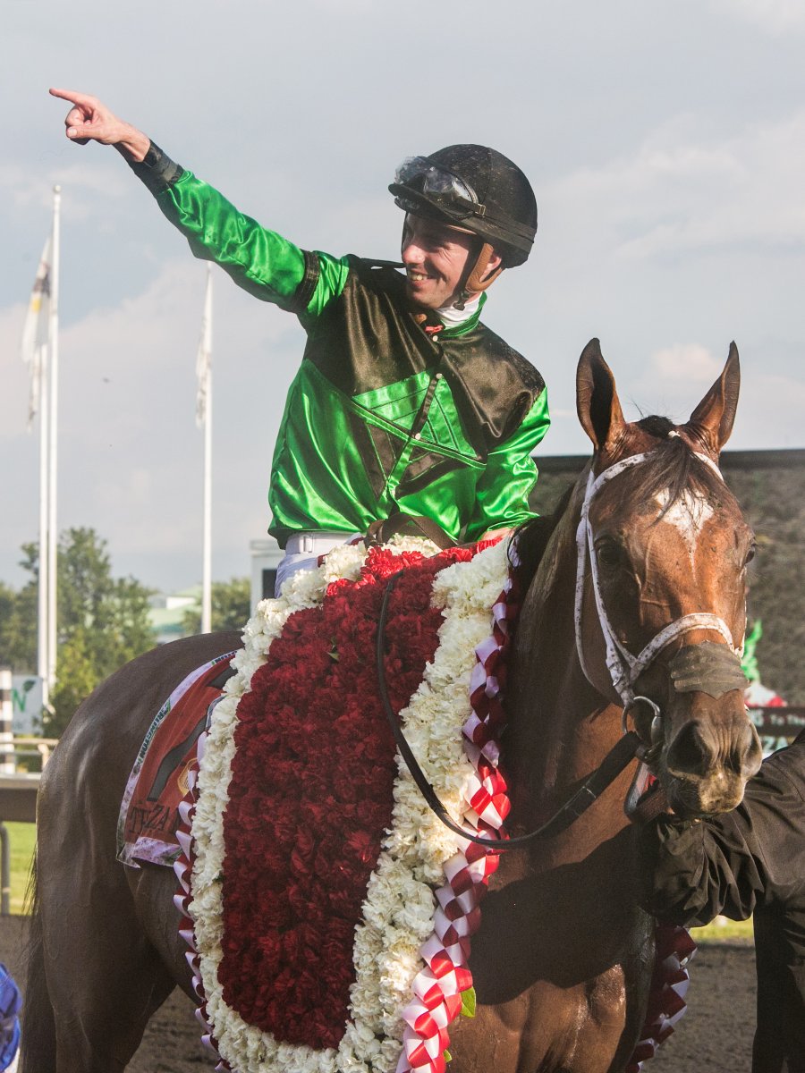 Equibase's tweet photo. #ThrowbackThursday to August 15, 2015... when THE PIZZA MAN became the first and only Illinios-bred to win the G1 Arlington Million at Arlington Park!🍕🏇

The Pizza Man, a Midwest Thoroughbreds' homebred by English Channel, won the 2015 Arlington Million by a neck over Big Blue Kitten for the late Roger Brueggemann with @flothejock aboard!

The Pizza Man retired in 2017 as a 2x G1W and the richest Illinois-bred in history with $2,158,941 in career earnings. 

At the age of 17, he now lives out his days peacefully at @Oldfriendsfarm❤️

Check out his horse profile on Equibase for all career statistics and achievements:
https://t.co/NzXz5cUKTe

📸Eclipse Sportswire