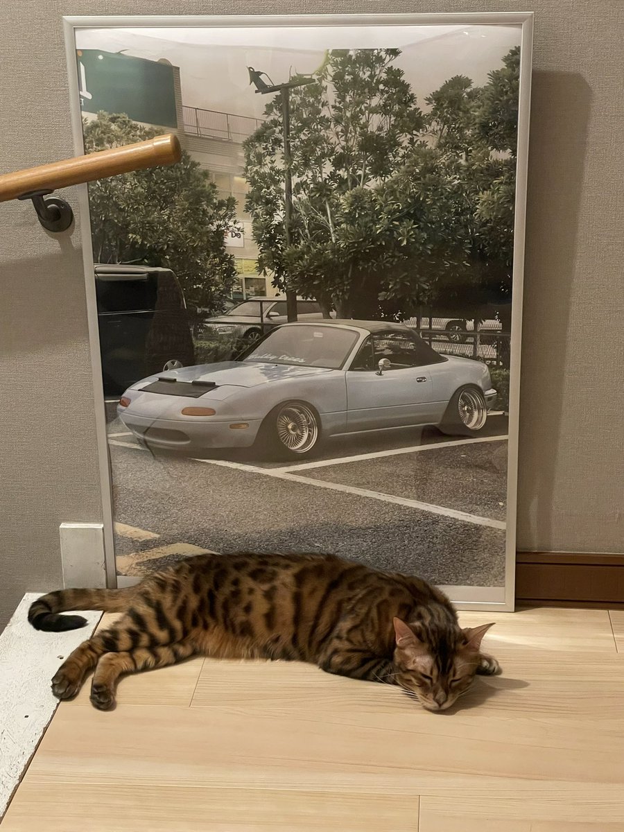 046hotdelivery's tweet photo. サービスショット助かる https://t.co/APRHH7Yukm