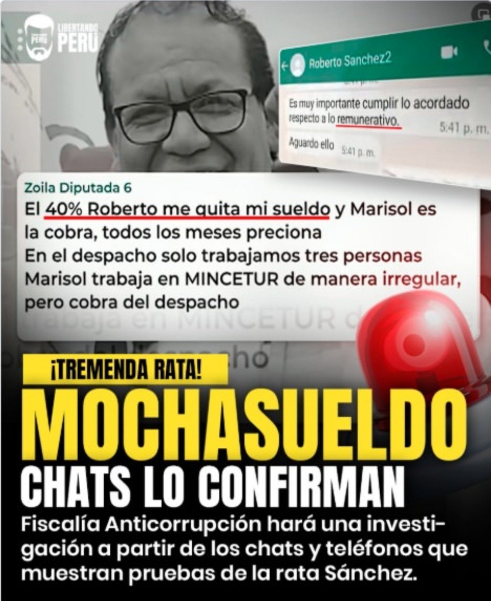 BrunoPatriota tweet media
