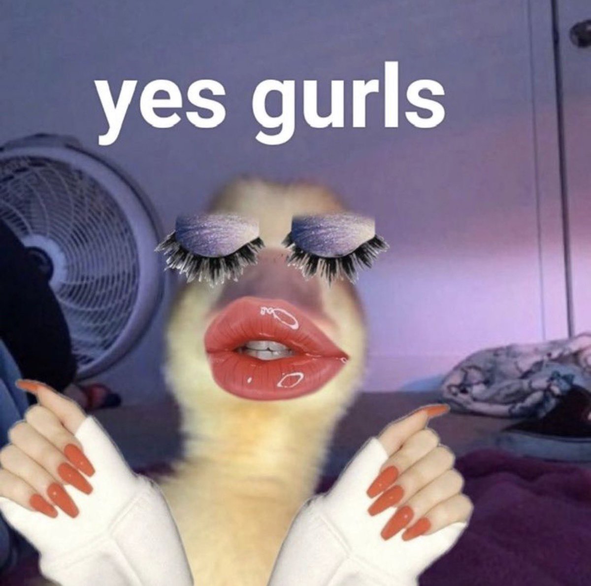 lvu_3000_'s tweet photo. What are you guys doing, girls? Come to see my mommy now!!

🖇️❤️‍🔥 https://t.co/eeDF77ISwJ https://t.co/BE5QmKcEfi