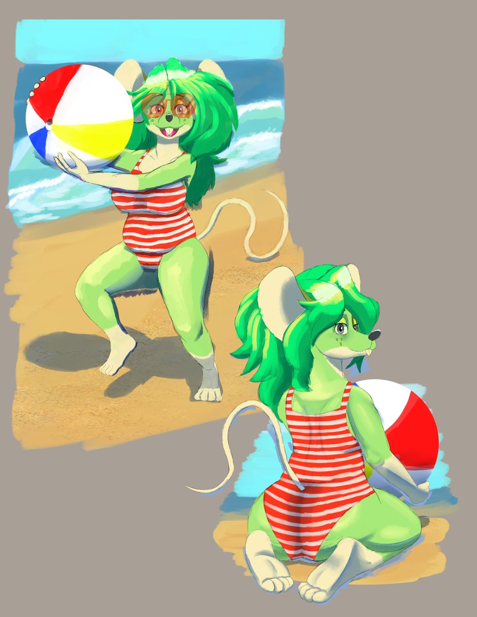 KutKurry's tweet photo. Rata del playa. @/reevierat https://t.co/a3rqo0jQfF