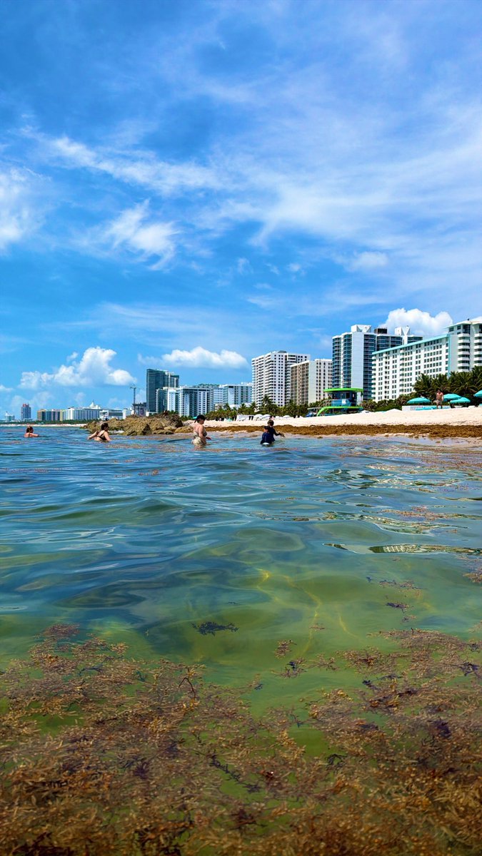 vmenditto's tweet photo. Miami Directo 🏖️ a partir de U$D 732 🔥 desde Bs. As. con carry on o U$D 819 🔥 con equipaje despachado

https://t.co/iJkI9eDLNq https://t.co/yTGTLPup7A