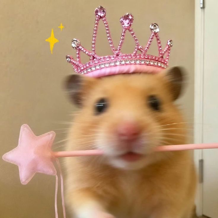 mnluvhs's tweet photo. 🥺🎀✨ https://t.co/PBgOYFBCfc