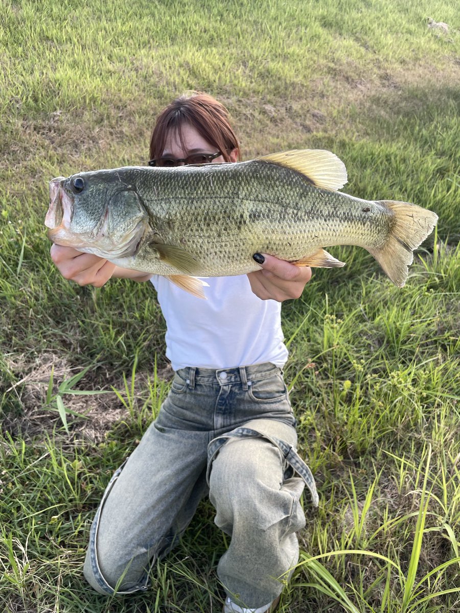 sakigolf051's tweet photo. この前のバス釣り🎣

暑すぎーる

陽が落ちると早よなったけんが、
あんまり行けんごとなるなー🤣悲し

 https://t.co/9uTtXgPrAQ https://t.co/Cv05psBiYs
