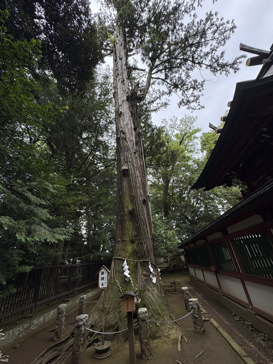 Azu71534362's tweet photo. 一言主神社
奥に色々ある事を初めて知ったw
#茨城県常総市
#神社
#一言主神社 https://t.co/nX9mF5v1eX