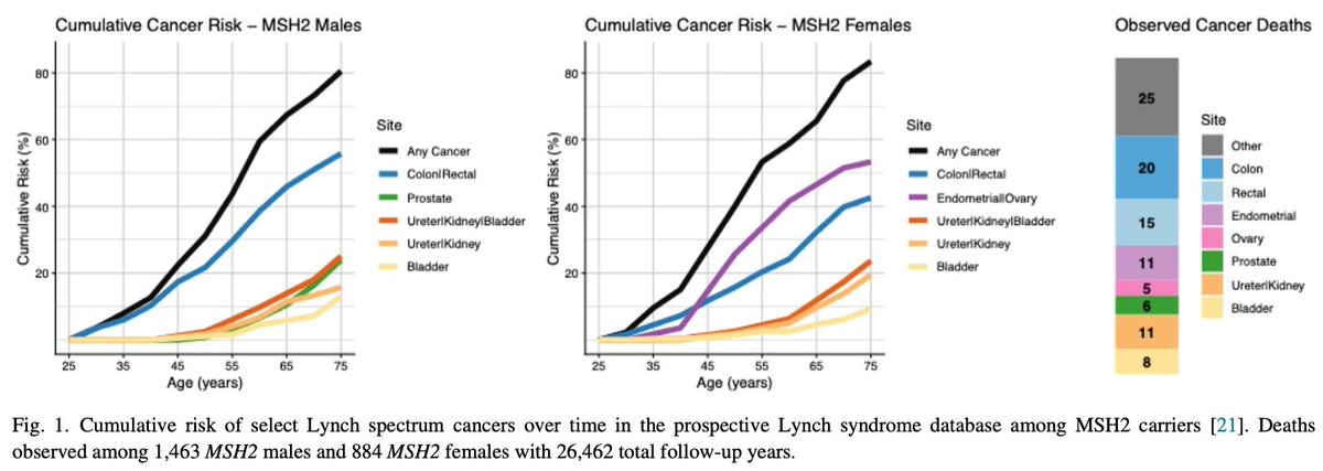 EdEsplin's tweet photo. #Germline P/LP variants occur in 10%-15% of #urothelialcancers, up to 20% in #UTUC

#Lynchsyndrome is the most common hereditary cause of #urothelialcancer

...#germlinetesting identifies a #therapeutically actionable subgroup with #Lynchsyndrome-
associated #MMR deficiency.

#Universal #germlinetesting in #UTUC & a #bladdercancer framework are overdue

https://t.co/KU89FhL4yI #DrStevenMonda et al @UrolOncol

c/w https://t.co/hnQ3qZQjSb @AminNassarMD et al @GIMJournal @TheACMG

#Universal #Germline #GeneticTesting for Hereditary Cancer Syndromes in #Patients With Solid Tumor #Cancer https://t.co/tFSemI4b2i @EdEsplin et al @JCOPO_ASCO 

#Universal #Germline and Tumor #GenomicTesting Needed to Win the War Against #Cancer: #Genomics Is the #Diagnosis https://t.co/wa8YmWUWs3 @VivekSubbiah @Dr_R_Kurzrock @JCO_ASCO @ASCO 

#access #reducedisparities #precisionmedicine #precisiontherapy #clinicaltrials #precisionprevention @oncodaily @OncoDailyGU @CGAIGC