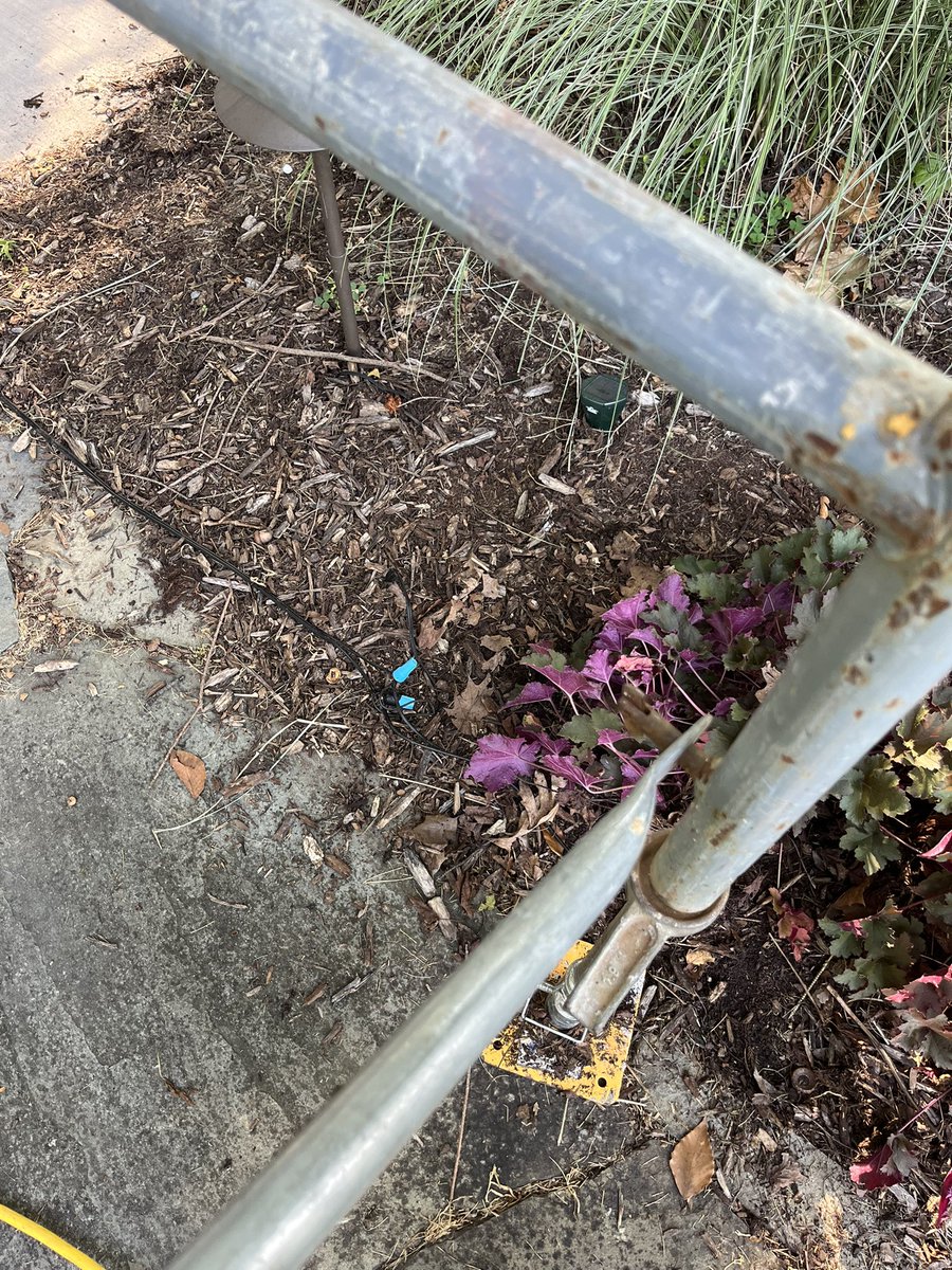 BensGlassArt's tweet photo. Sometimes I wish I was a landscaper so I could just bullshit my way through work https://t.co/JdiRWR5fiD
