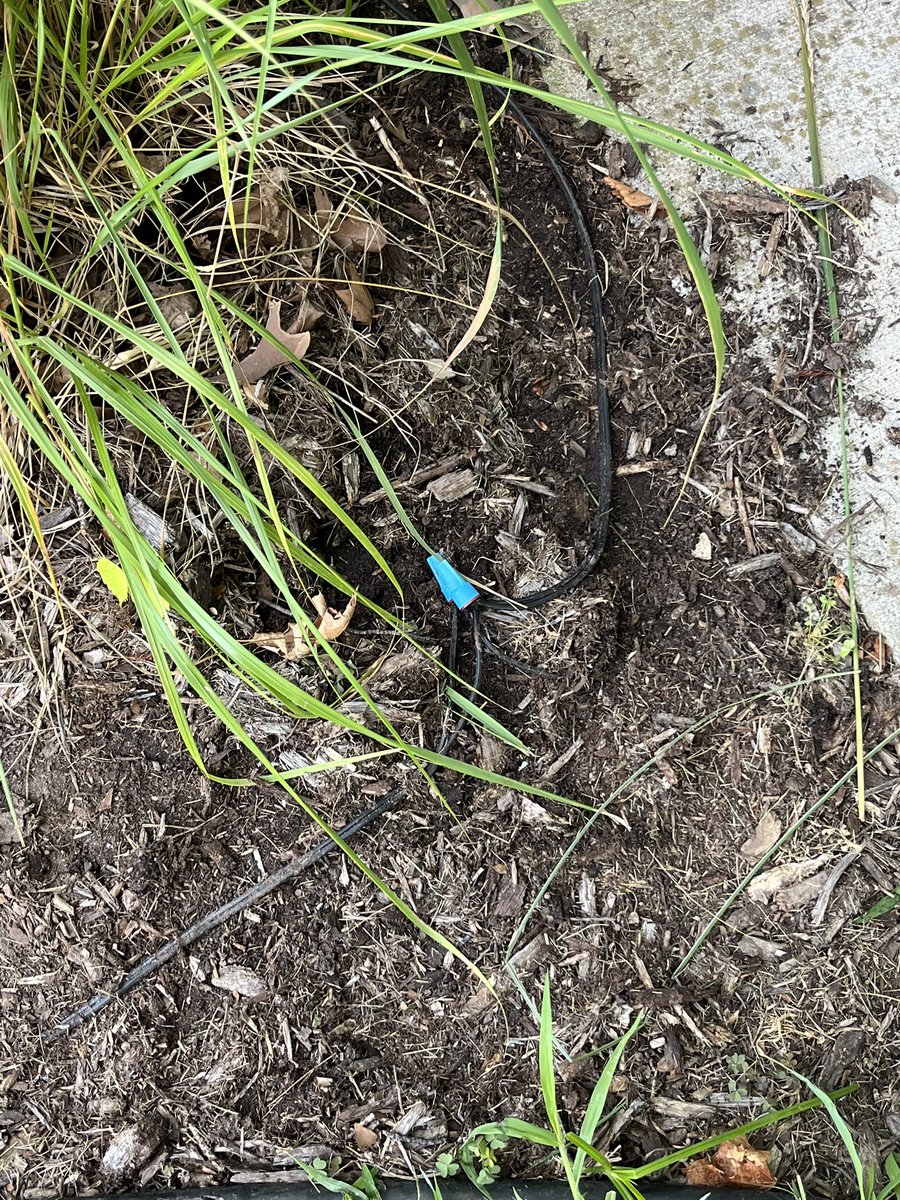 BensGlassArt's tweet photo. Sometimes I wish I was a landscaper so I could just bullshit my way through work https://t.co/JdiRWR5fiD