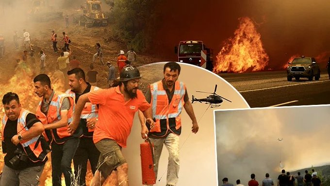 meennekse's tweet photo. Allahım ormandaki canlarımızı koru artık 🥺 
#yangın #fethiye #yangınvar https://t.co/RO0kBiqajw