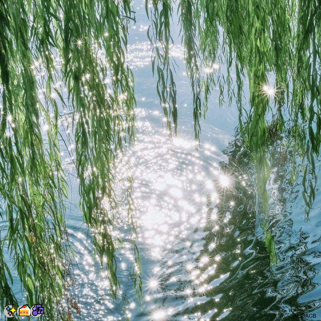 LeonardIng47763's tweet photo. 🥰男M✨护士👏校园💕捆绑💖捆狗奴🌈瑜伽裤❤️舔穴💝语音做爱🎉色色😆黑丝💕鸡巴套子😀油光丝🤗阿黑颜💖女王🎊换妻😎3P💕文援❤️自慰🎊日常大赛🔥固聊

企鹅裙：1818089
X：@zhien52000
飞机：zuoyi1v1
裸聊/连麦/文爱/调教/寸止 https://t.co/icSa9jB2BR