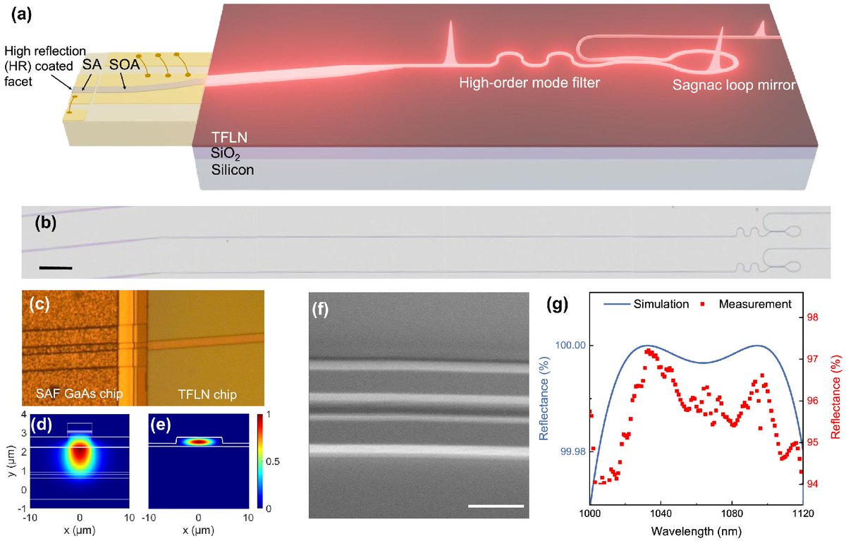 OpticaPubsGroup's tweet photo. Via #OPG_Optica: Passive harmonically mode-locked laser on lithium niobate nanophotonic circuits https://t.co/Pw9SaLuPEN #IntegratedPhotonics #EffectiveRefractiveIndex @CUNY https://t.co/gjKsSYQt4r