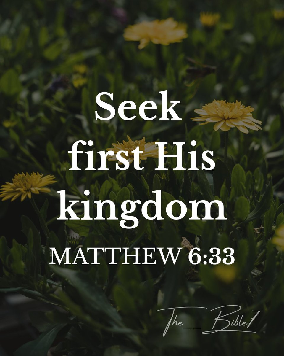 The__Bible7's tweet photo. Matthew 6:33 https://t.co/NcphomCTmj