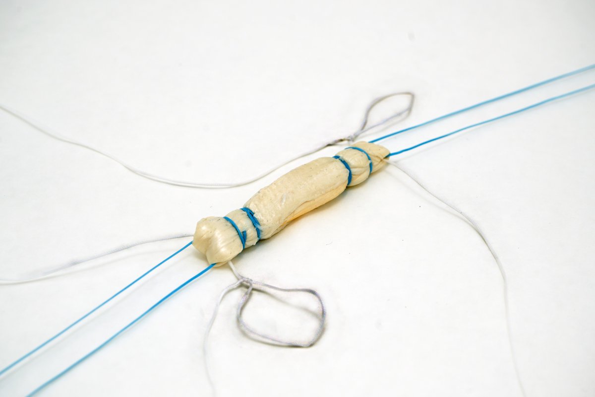 AlloSource's tweet photo. Simplify your all-inside ACL reconstruction procedure with ReConnex™, AlloSource's FDA 510(k)-cleared, ready-to-use pre-sutured tendon designed to streamline the procedure. Learn more: https://t.co/Jy6TLmWa5Z #Suture4U #ACL #ReConnex https://t.co/lwKN90QKME