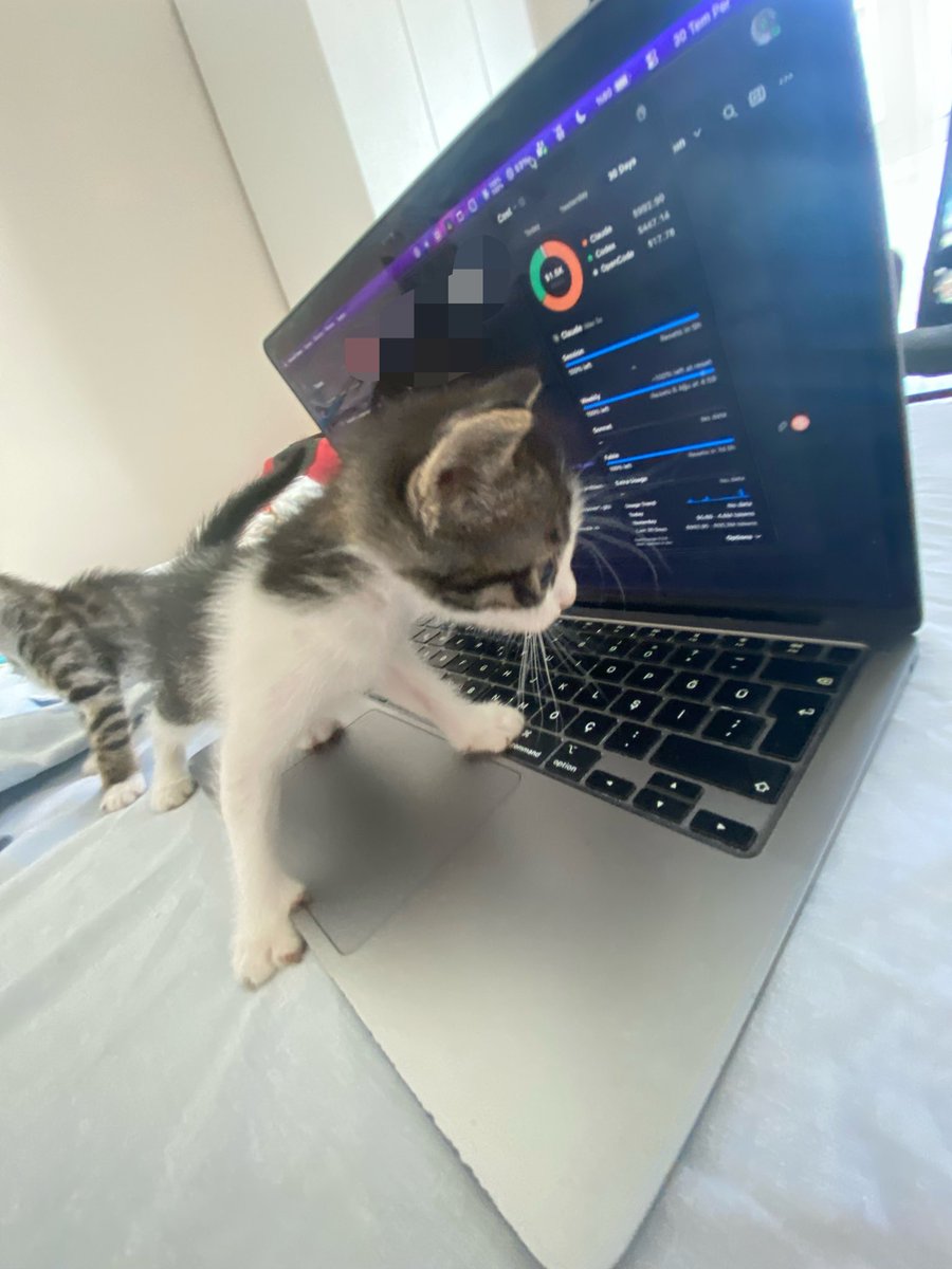 youngwhitedevil's tweet photo. calismak zorunda oldugu icin COK sinirli. biraz da sen kod yaz bakalim enayi https://t.co/bGPsAi61qy