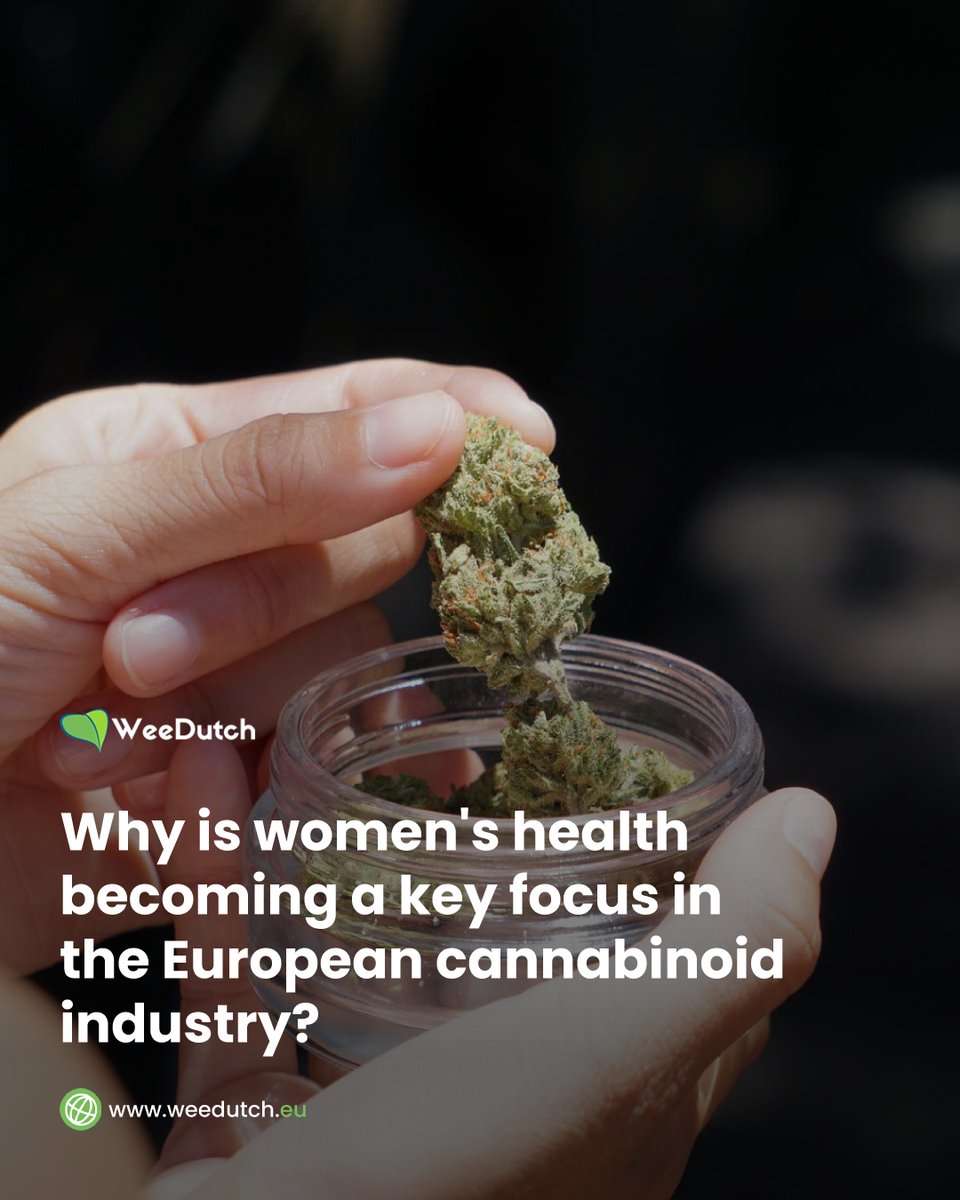 DutchWee's tweet photo. Across Europe, research into women's health is gaining greater attention within the cannabinoid sector. Topics such as endometriosis and menopause are driving new scientific discussions, highlighting the need for more targeted research and evidence-based product development. https://t.co/IBiU2eX6Kz