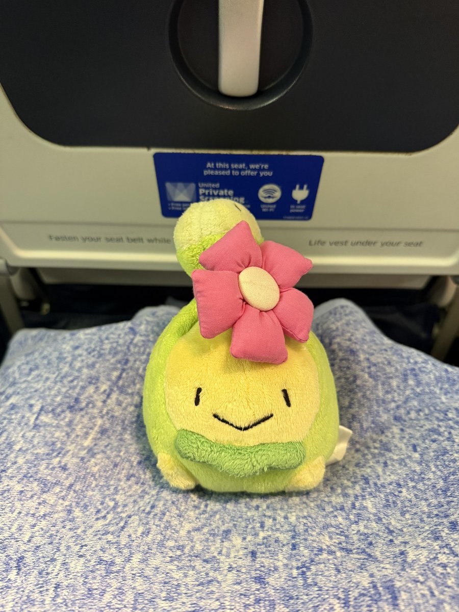 subotomi's tweet photo. スボミーと一緒に日本に向かう飛行機に乗っています！ https://t.co/gu382nbbDD