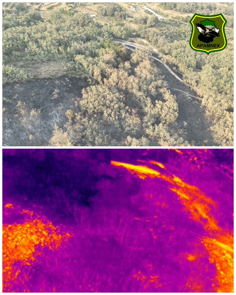 Apamnex1's tweet photo. Apagadas las llamas sigue la vigilancia. Ahí estamos l@s #AMN de @Junta_Ex para evitar que una posible reproducción  vuelva a poner en jaque al dispositivo de extinción de @PLANINFOEX https://t.co/jbpIaIrJT3