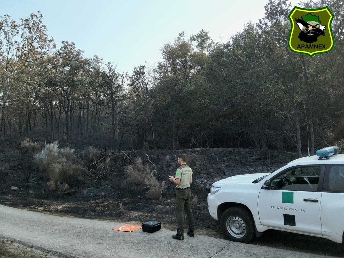 Apamnex1's tweet photo. Apagadas las llamas sigue la vigilancia. Ahí estamos l@s #AMN de @Junta_Ex para evitar que una posible reproducción  vuelva a poner en jaque al dispositivo de extinción de @PLANINFOEX https://t.co/jbpIaIrJT3